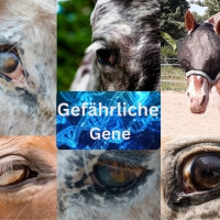 Gefährliche Gene