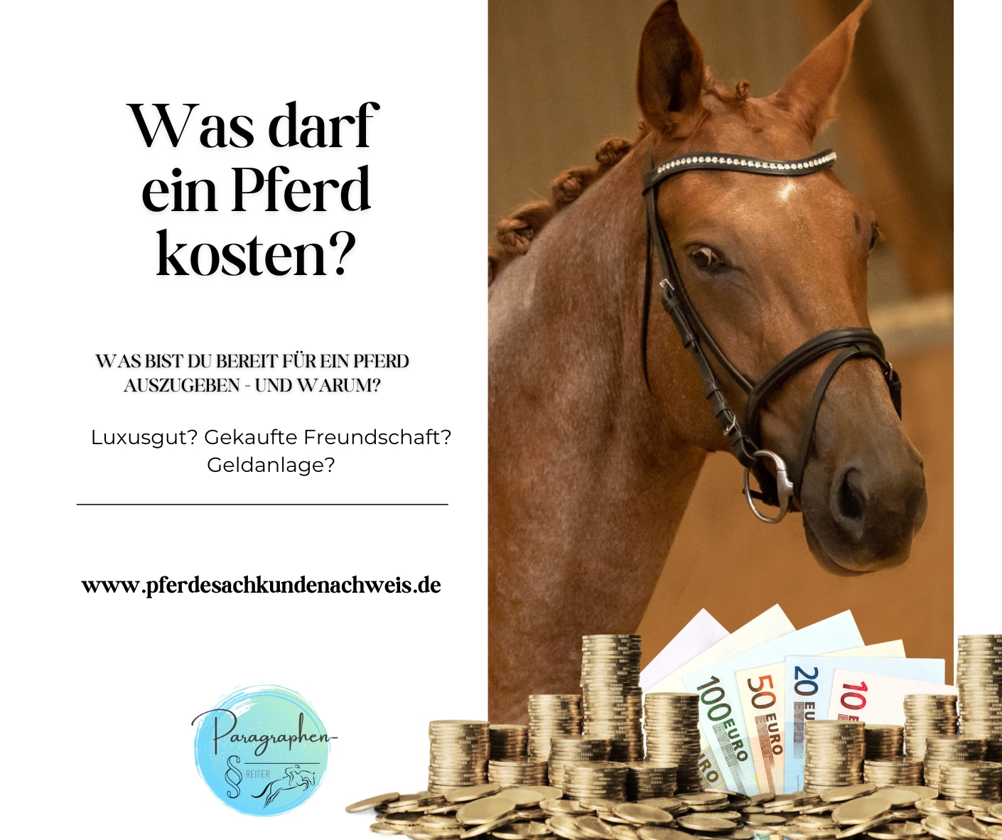 Was darf ein Pferd kosten?