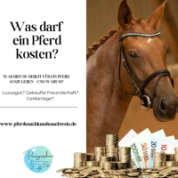 Was darf ein Pferd kosten?