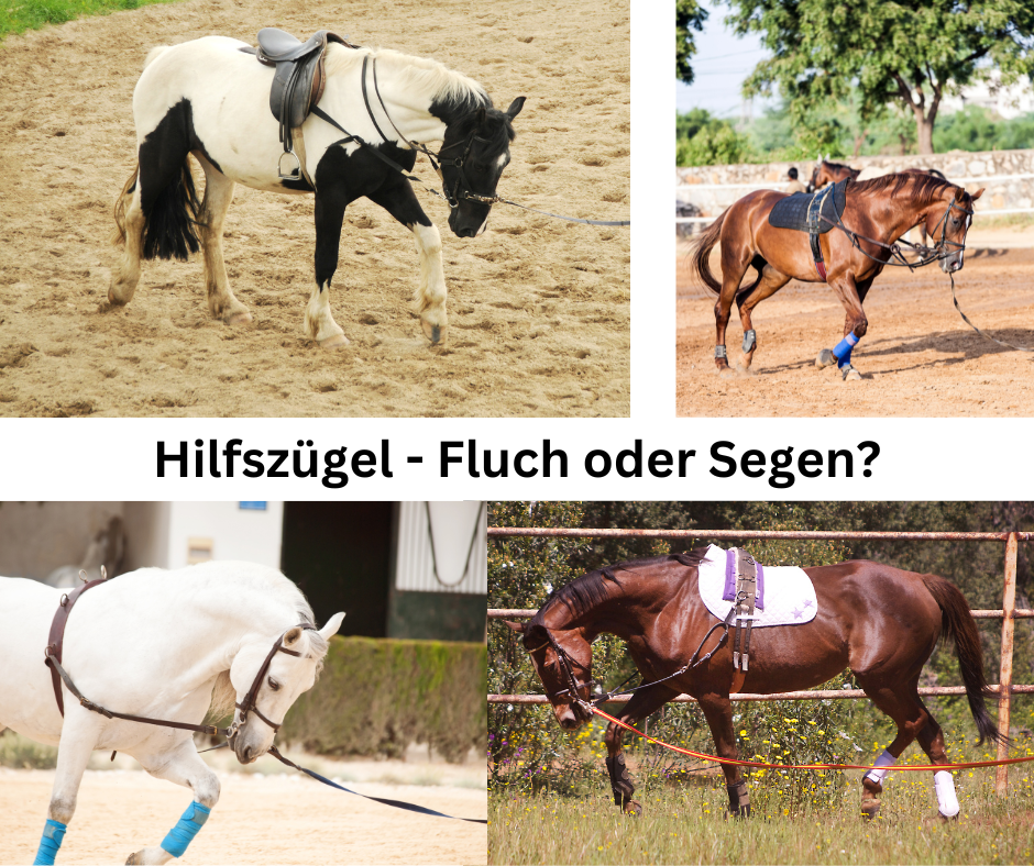 hilfszugel fluch oder segen